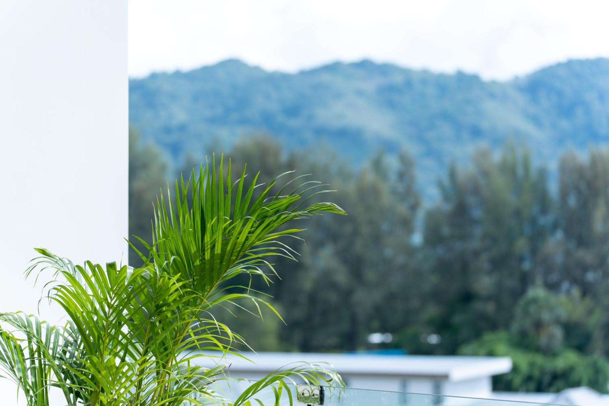Sole Mio Boutique Hotel And Wellness - Adults Only Bang Tao Beach  Exterior foto